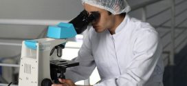 Fondation Beljanki et CIRIS perpétuent l’héritage du docteur Mirko Beljanski