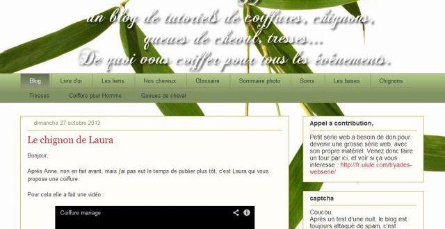 Coiffures et Chignon de Tiquette et Coqilico Coiffures et Chignon de Tiquette et Coqilico