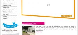 Pension pour chiens et chats en Auvergne – Com Chat Chien