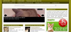 Dresser un chat